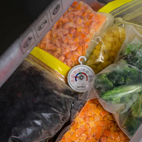 Termómetro para frigoríficos e congeladores (-35°C a +45°C) Ø 5 cm - 5