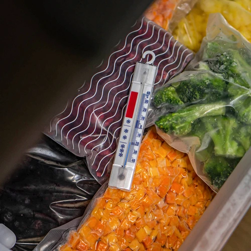 Termómetro para frigoríficos e congeladores (-40°C a +40°C) 15 cm - 6