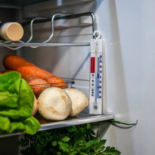 Termómetro para frigoríficos e congeladores (-40°C a +40°C) 15 cm - 5