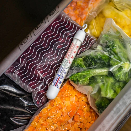 Termómetro para frigoríficos e congeladores (-50°C a +40°C) 17 cm - 6