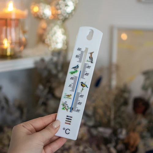 Termômetro universal com gráfico - pássaros (-30°C a +50°C) 20cm - 3