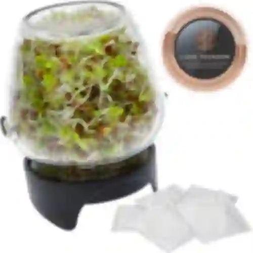 Germinador de pote Twist-off + 5 pacotes de sementes