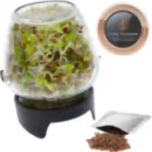 Germinador de pote Twist-off com sementes de rabanete