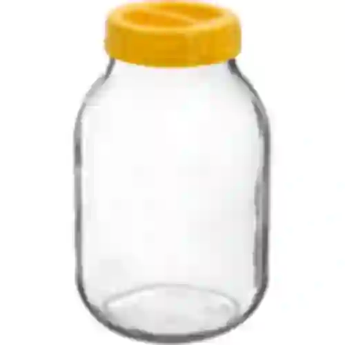 Pote twist-off 3 L e tampa de plástico fi 100, com alça
