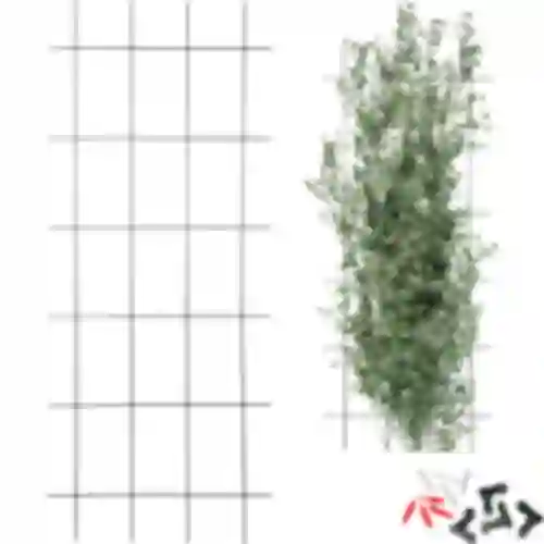 Suporte para plantas – treliça de jardim 150 x 60cm