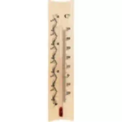 Termômetro de ambiente com padrão (-20°C a +50°C) 18cm