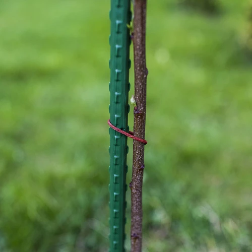 Tutores de jardim Bioogród – aço revestido, 0,75 m, Ø 8 mm, 10 un. - 6