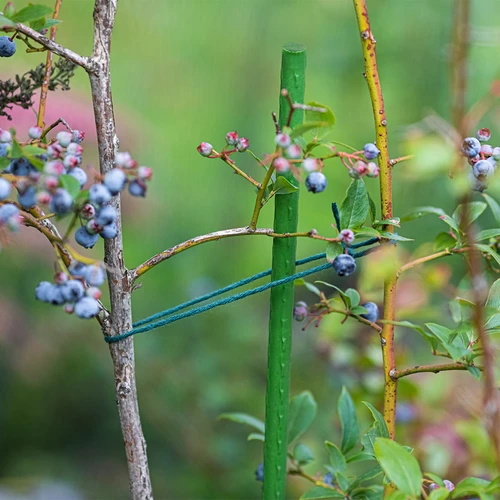Tutores de jardim Bioogród – aço revestido, 1,2 m, Ø 11 mm, 10 un. - 4