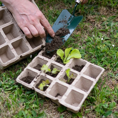 Vasos de papel 4,5 x 5 x 4,5, conjunto de 5 unidades. - 5
