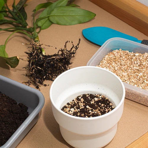 Vermiculita para plantas em vaso e jardinagem, 2 L - 7