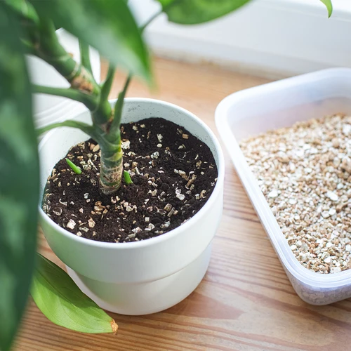Vermiculita para plantas em vasos e jardinagem, 2 L - 8
