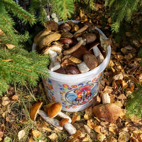 Wiadro spożywcze GWIOZDA - z pokrywką, 10 L - 10
