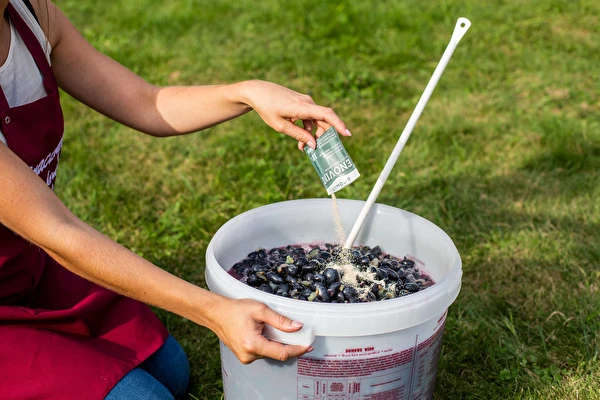 Como fazer vinho passo a passo?