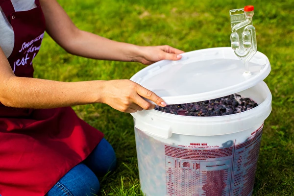 Como fazer vinho passo a passo?