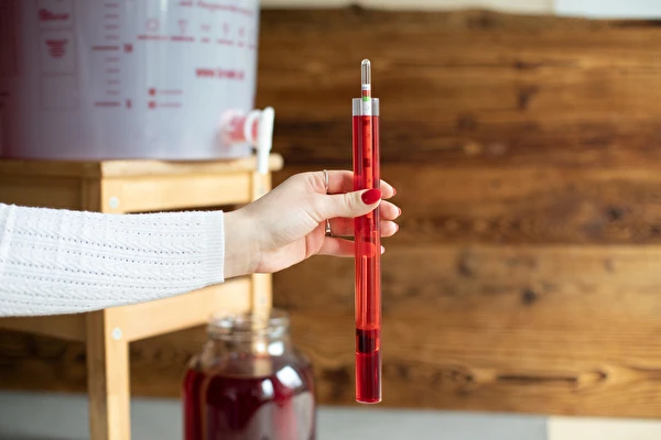 Como fazer vinho passo a passo?