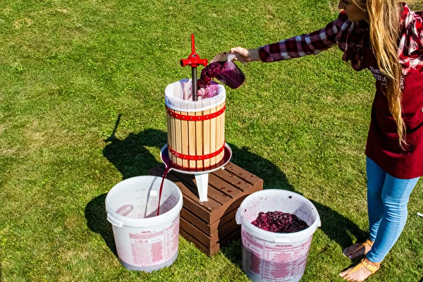 Como fazer vinho passo a passo?