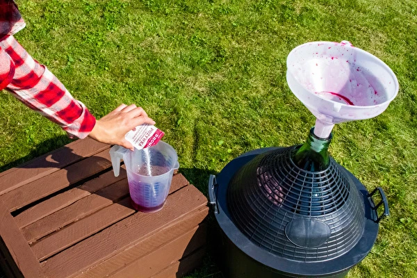 Como fazer vinho passo a passo?