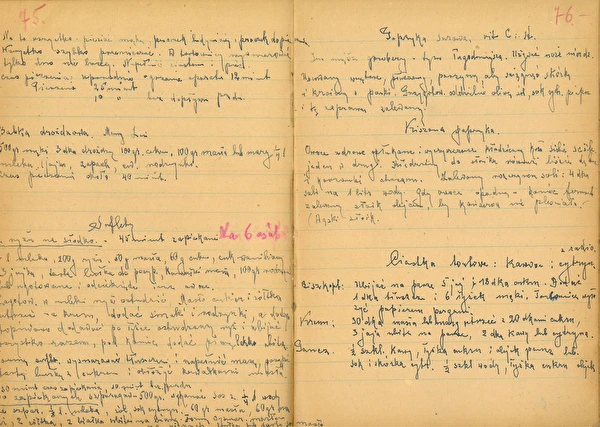 Episódio 2: Pimentos fermentados com folhas de carvalho