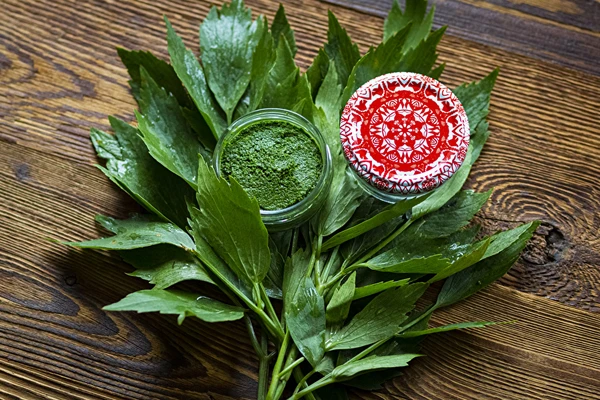 Pasta de levístico — tempero MAGGI caseiro