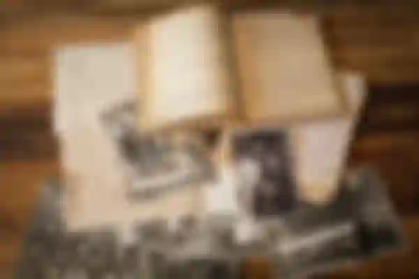 Episódio 1: Bolo de pão integral