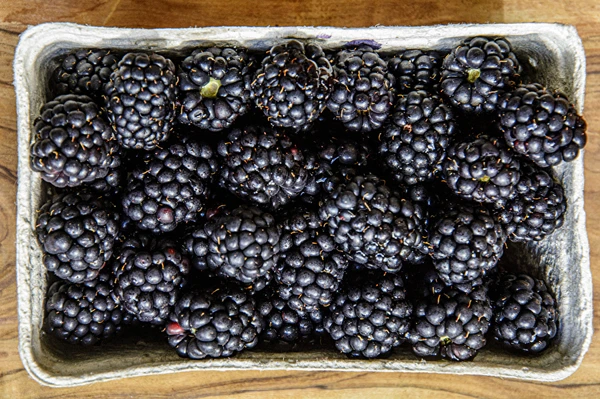 Vinho caseiro de amora-preta meio-doce