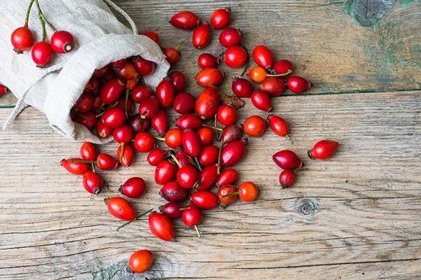 Vinho de frutos de rosa mosqueta com mel