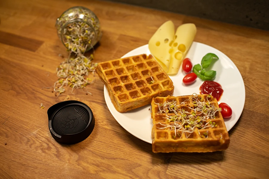 Browin Przepiśnik - Gofres salgados