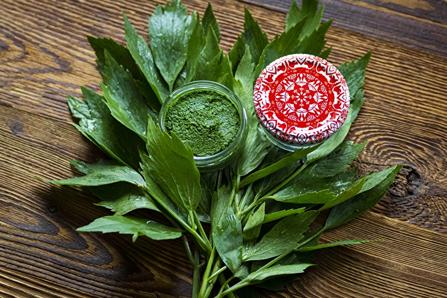 Browin Przepiśnik - Pasta de levístico — tempero MAGGI caseiro