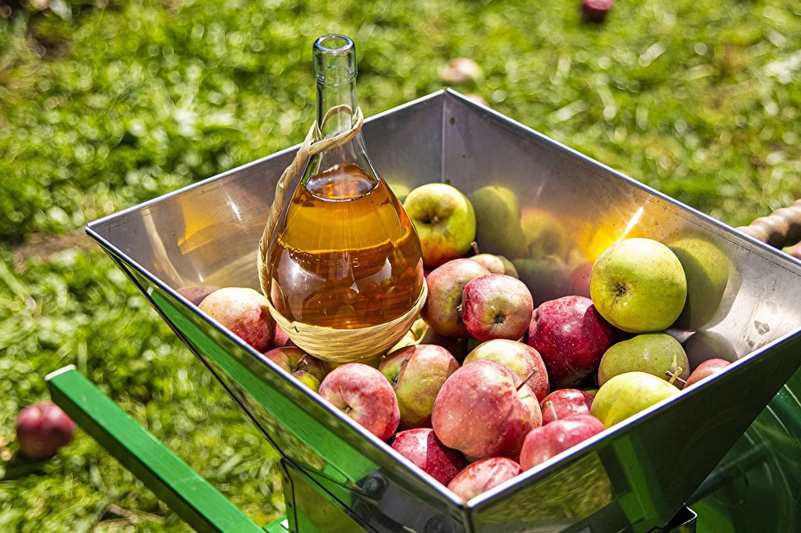 Browin Przepiśnik - Sidra caseira