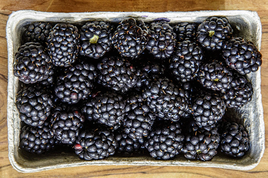 Browin Przepiśnik - Vinho caseiro de amoras meio doce