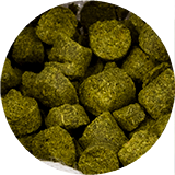 Cervejaria